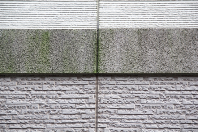 色褪せやコケが目立つ外壁